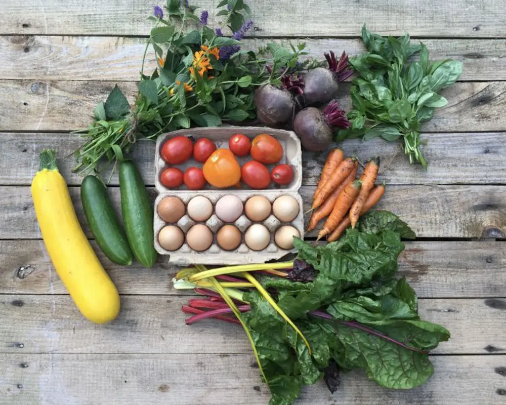 Historic wooden building